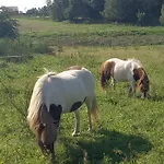 Pod Kasztanem Appartamento