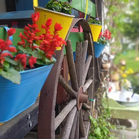 Apartamento Pod Kasztanem