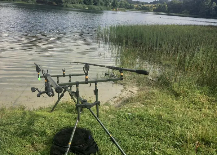 Pod Kasztanem Apartament