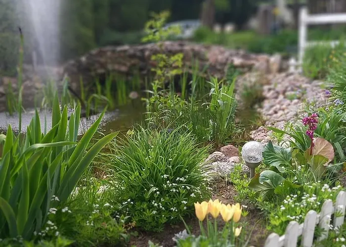 Apartament Pod Kasztanem