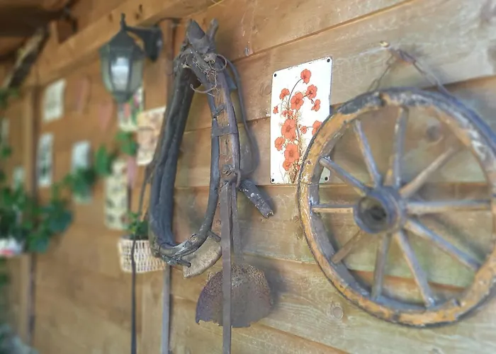 Apartament Pod Kasztanem Dobra (Slupsk)