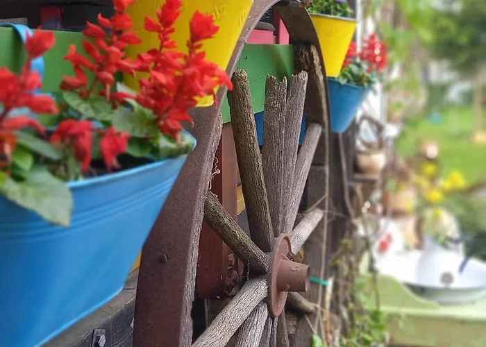 Apartament Pod Kasztanem