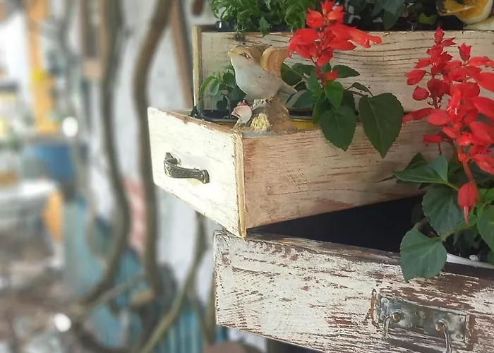 Apartament Pod Kasztanem Dobra (Slupsk)