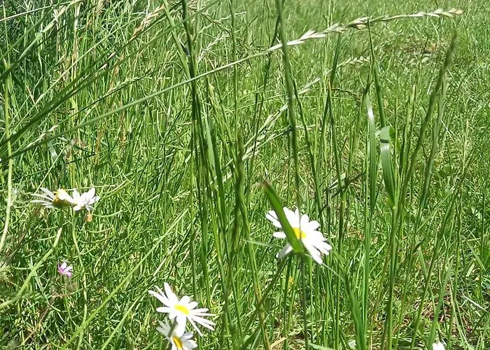 Apartament Pod Kasztanem Dobra (Slupsk)