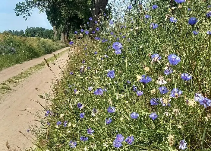 Apartament Pod Kasztanem
