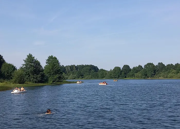 Pod Kasztanem Apartament *